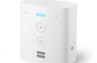 Echo Flex– Plug-in Echo for smart home control