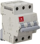 Havells DHMGCTPF006 PVC Plastic 6A MCB TP C Curve (White)