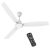 Polycab Wizzy Vibe 1200mm 5-Star BLDC Ceiling fan for Home with Remote| Energy Saving | High Air Delivery | 3+1 yr Warranty [Matt White]