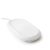 SanDisk Ixpand Wireless 10W Charger with Backup 256GB for Cellular Phones [White]