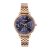 Sonata Verve Quartz Analog with Navy Blue Dial Rose Gold Sheet Metal Strap Watch for Women – 87102WM01