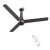 Polycab Wizzy Prime 1200mm BLDC Ceiling Fan with remote |BEE 5 Star Rated, Higher Air Delivery|LED Indicator,Reverse,Boost,Sleep and Breeze Mode |3 Years Warranty【Matt Black】